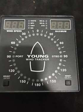 售前咨询YOUNG风速风向仪06206 WT41489议价