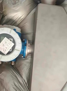 询价议价￥E+H恩德斯豪斯质量流量计 83E、80E、83F、80F系列型号