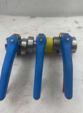 售前咨询SUDMO蝶阀 DN25 PN10  7756/4  (I6