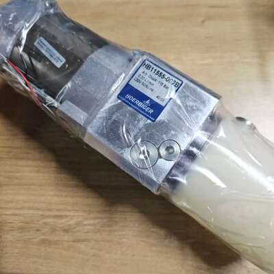 售前咨询HOERBIGER HB11555-002B 115Bar 油泵议价