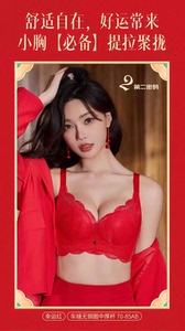 第二密码文胸L8133无钢圈中厚A小胸聚拢调整型收副乳舒适透气内衣