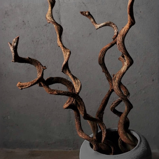 过江龙藤条弯曲枯枝爬宠干树枝中式禅意插花森系爬虫天然干花装饰
