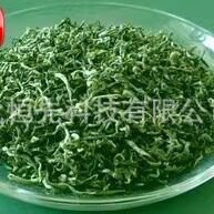 英山绿茶 礼品 中国名优茶 大别山茶叶 湖北特产 高山生态云雾茶