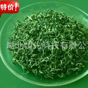 生态绿茶/茶叶 英山云雾茶 大别山名优茶 绿色礼品 湖北土特产