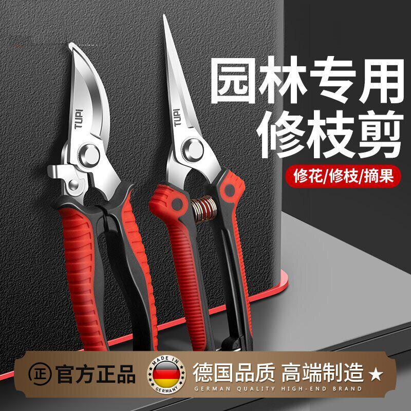 新款园林修枝剪花枝专用剪子园艺剪树枝剪刀修枝剪强力果树剪子图片