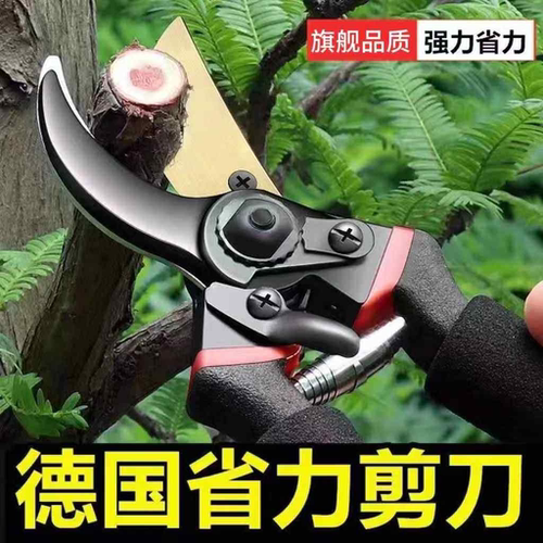 剪粗枝修枝剪sk5园林园艺剪刀省力盆景花艺剪刀大号果树修剪枝剪