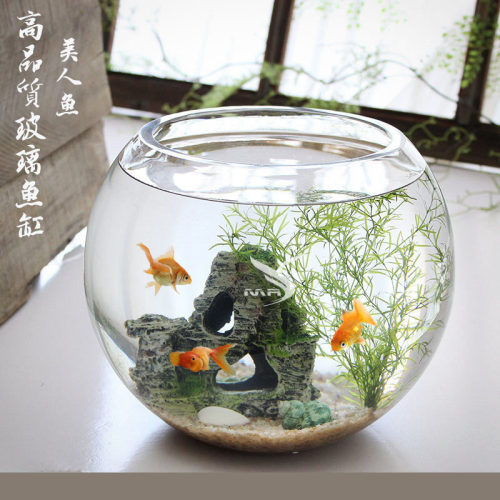 玻璃圆球小鱼缸价格 玻璃圆球小鱼缸图片 星期三