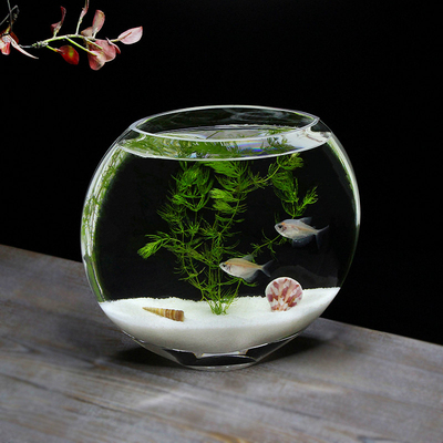 创意桌面高白扁口玻璃鱼缸斗鱼缸