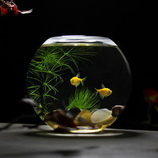 桌面斗鱼缸 14CM圆球鱼缸加厚水晶玻璃家用圆形金鱼缸小型一体缸