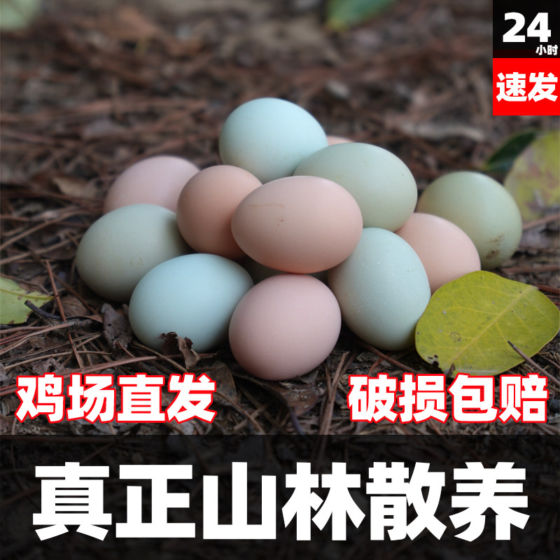 正宗土鸡蛋农家山林散养新鲜纯农村深山蔬菜谷物喂自养柴鸡蛋整箱,水产肉类/新鲜蔬果/熟食,鸡蛋,淘宝优惠券,粉丝福利购,淘宝优惠卷