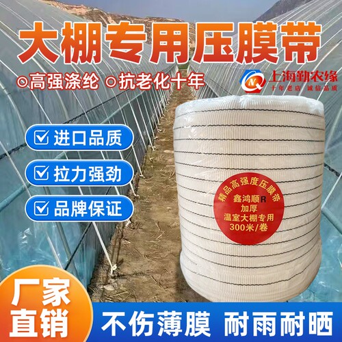 白色压膜线防风拉绳高强度抗老化