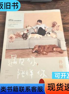 遇见你，陪伴你 孙俪   北京联合出版有限公司