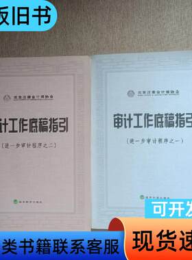 审计工作底稿指引：进一步审计程序之一、进一步审计程序之二 北