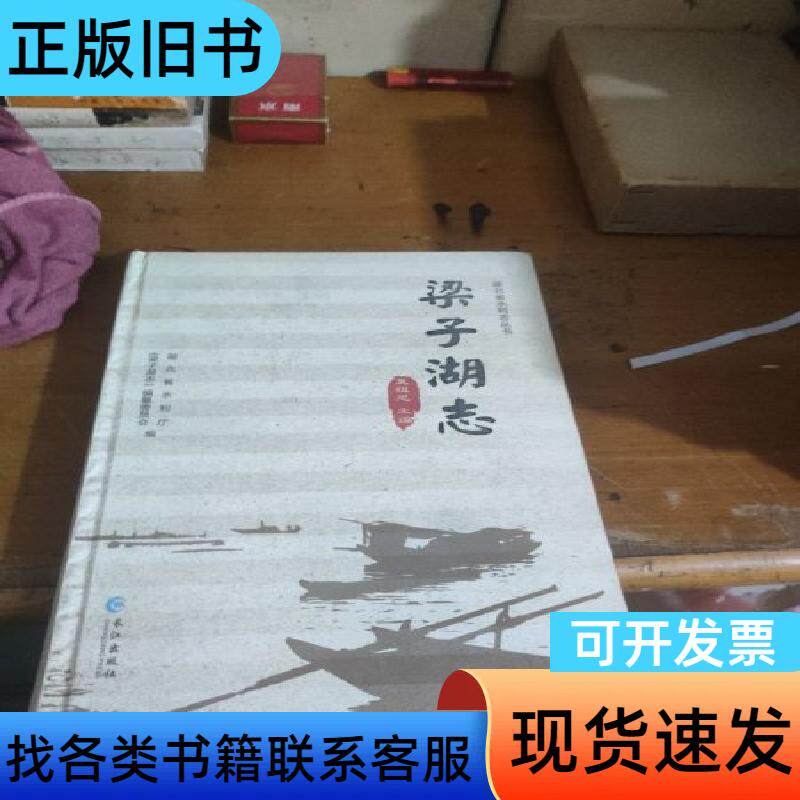 梁子湖志/湖北省水利志丛书 夏祖恩 编 长江出版社