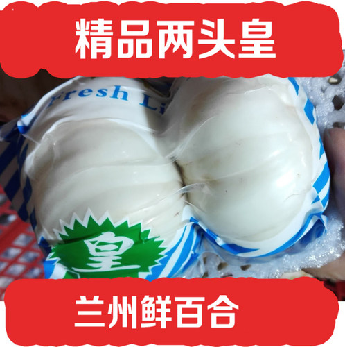 兰州百合两头皇鲜真空土特产