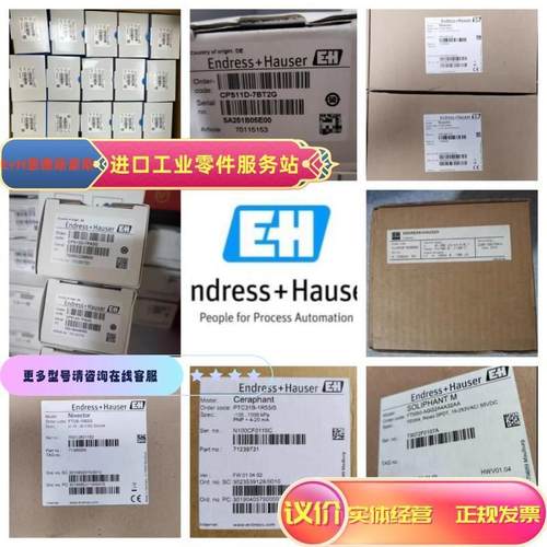 议价E+H恩德斯豪斯 FTM21-AG245A 音叉物位计 Soliphant T FEM24