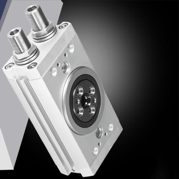 议价摆动驱动器DRRD-8-10-12-16-20-25-35-40-180-FH-PA-Y9A