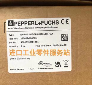 RAA编码 议价P 0100UD1 S10CA5 器 FENI58IL