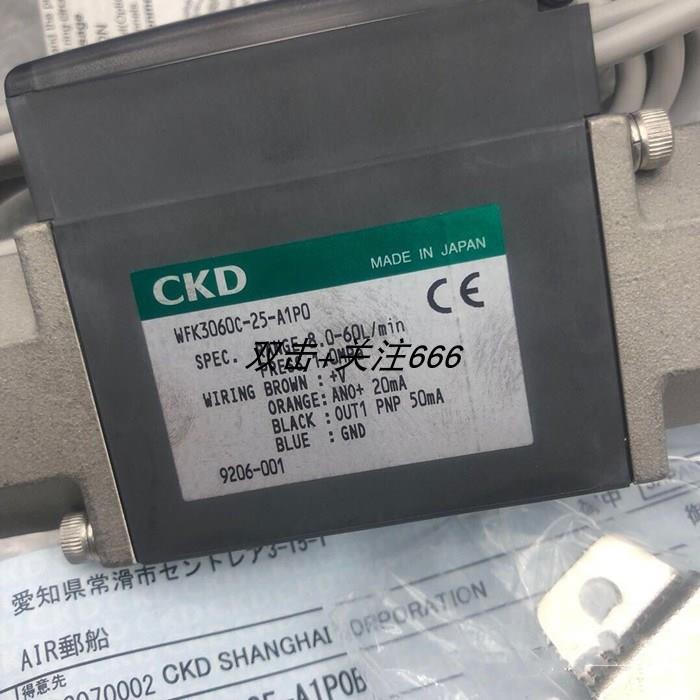 议价流量计 WFK3060C-25-A1P0B