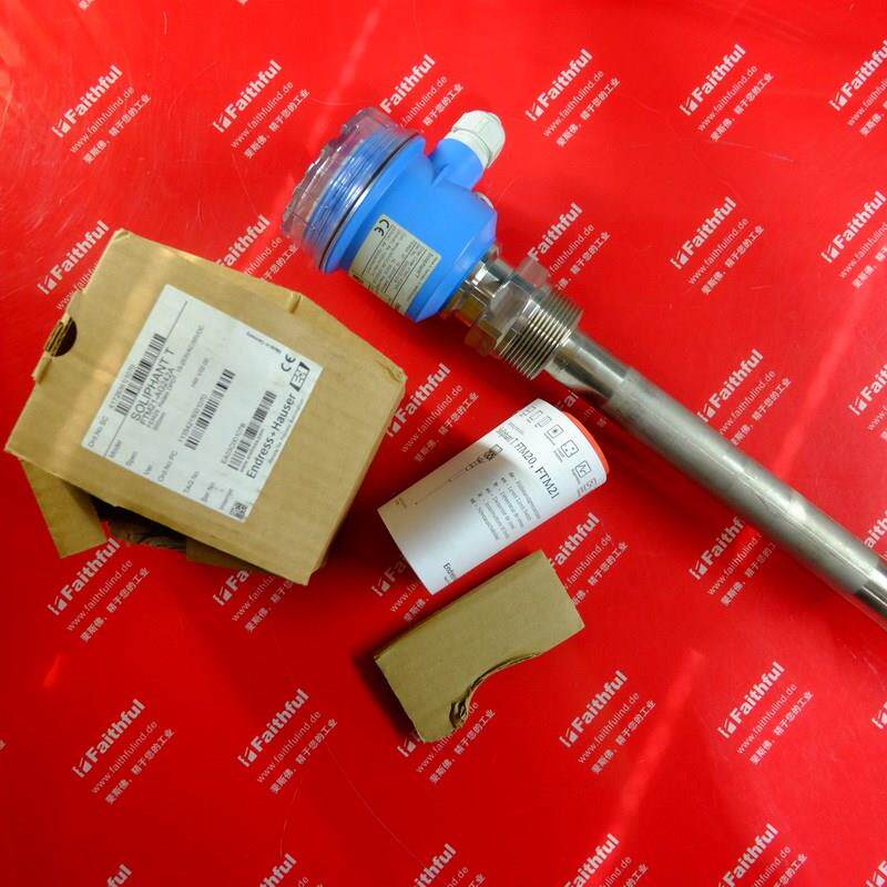 议价E+H FTM21-AG242A 恩德斯豪斯音叉物位计 Soliphant T FEM24