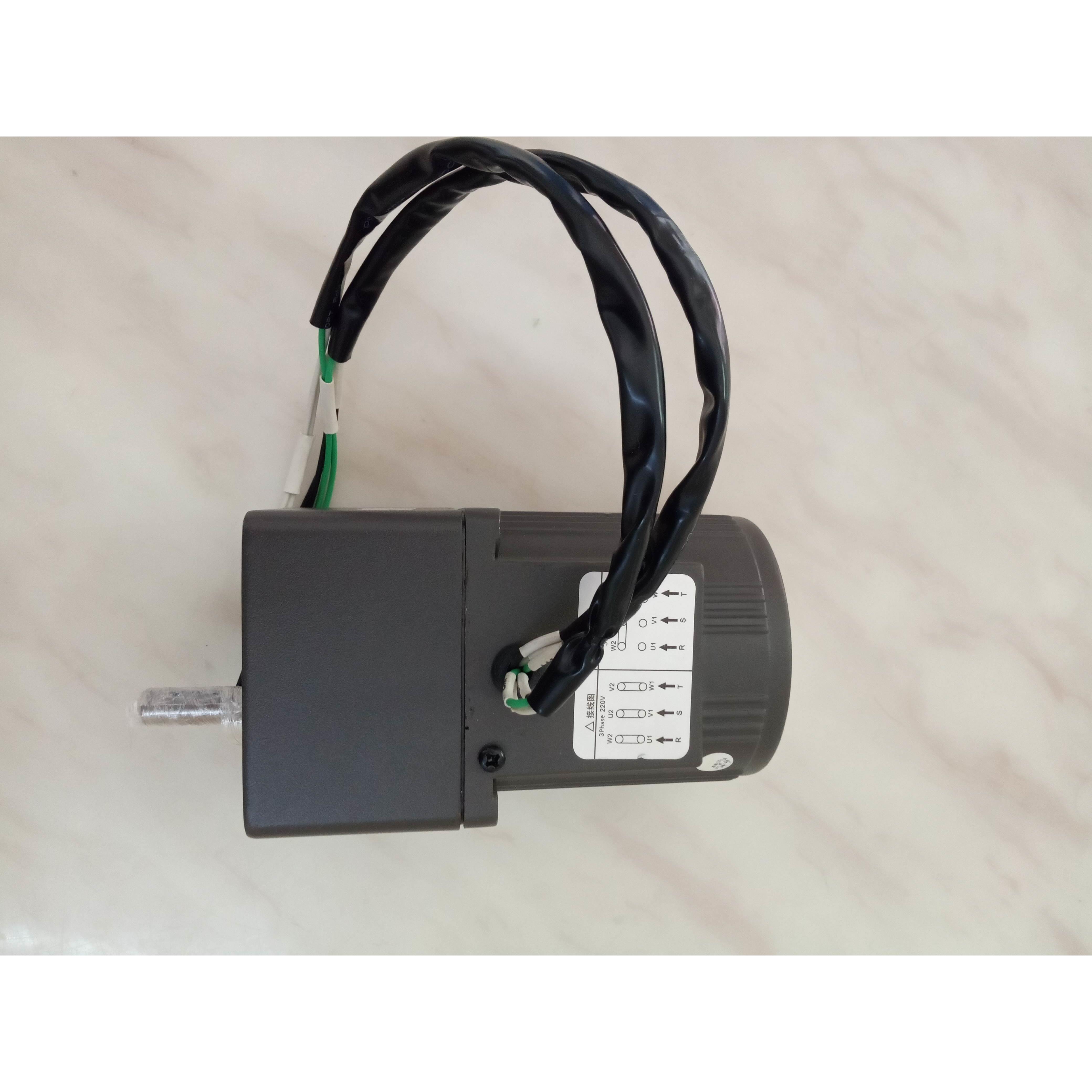 议价微型三相异步电动机4IK25GN-S 5IK120GN-S 5GN-30K