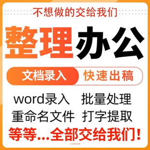 excel整理办公重命名图片文件word录入代填表格文档转换排版PDF