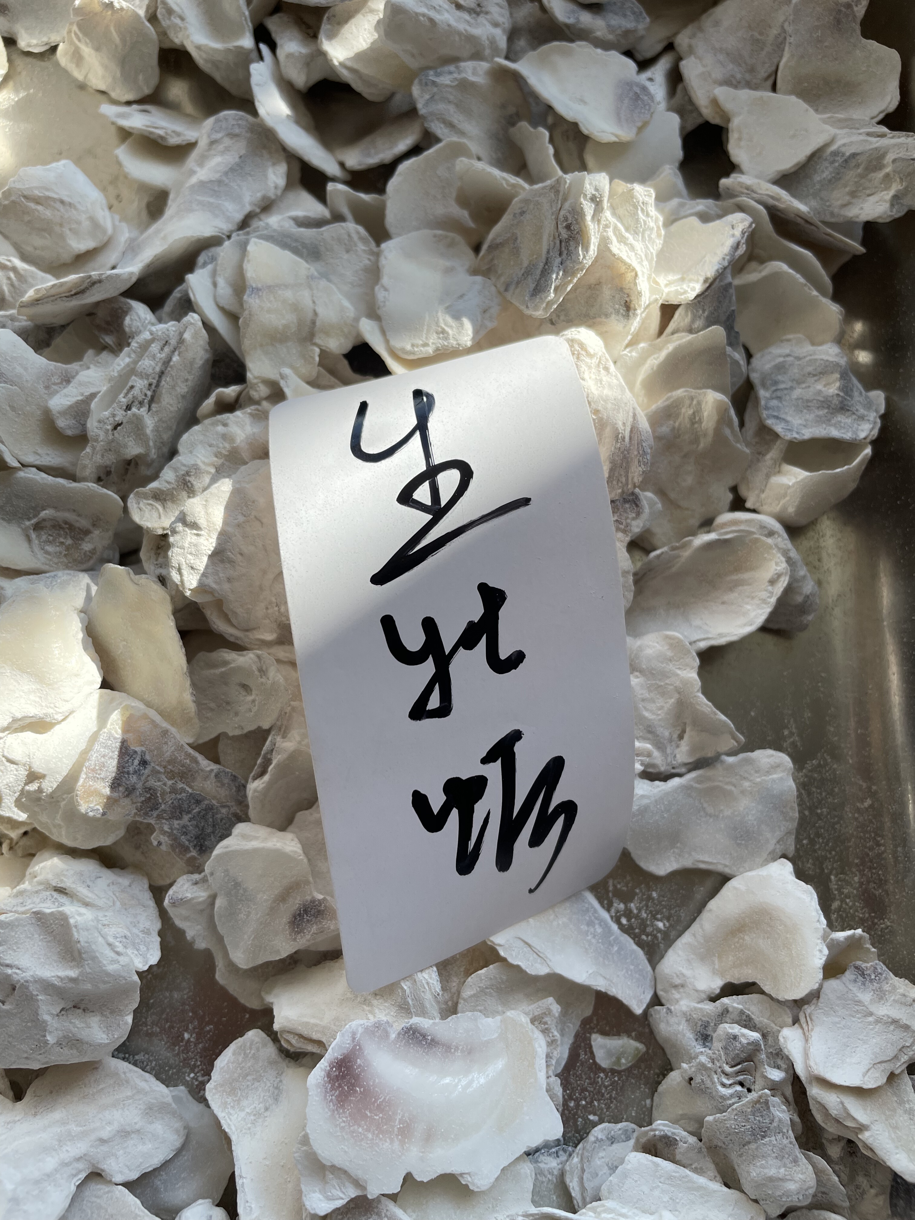 中药材牡蛎500g克 药用牡蛎壳 正品牡蛎片 生牡蛎生牡蛎壳生蚝壳