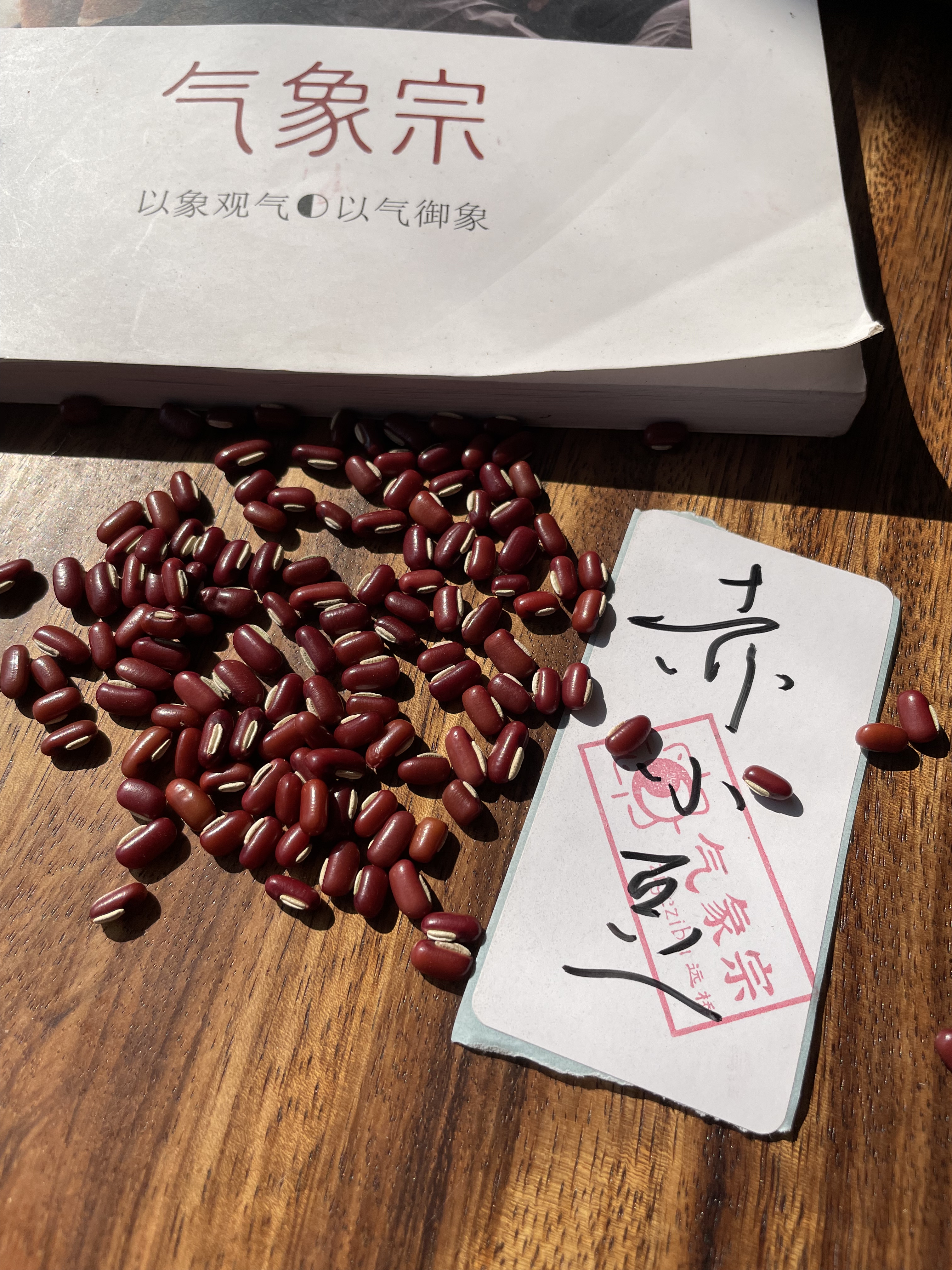 麻H连翘赤小豆汤 中药材当归赤小豆散 泡水出芽再用 赤小豆五苓散