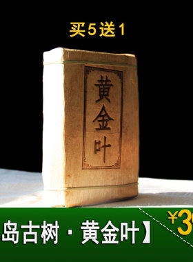 笋壳砖冰岛古树黄金叶