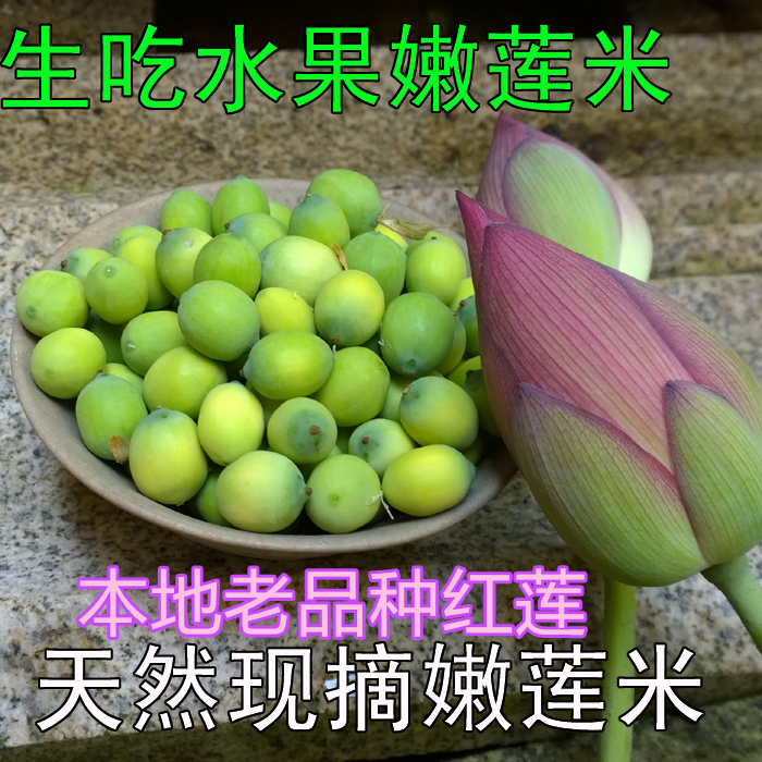 天然种植老品种新鲜嫩莲子米新鲜莲蓬荷花莲花1斤现采包邮