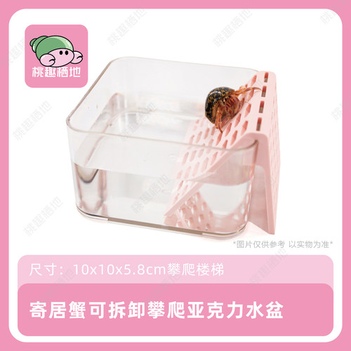 透明亚克力爬宠清洁泡澡盆