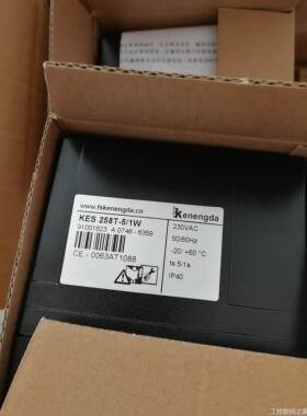 询价点火器KES258T-5/1W议价