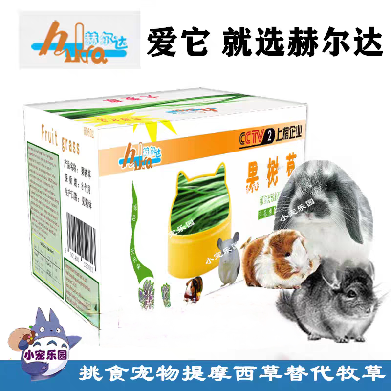 赫尔达当年烘干果树草挑食垂耳兔兔兔干草