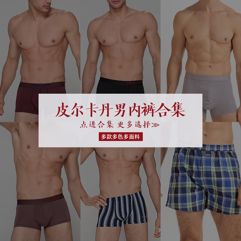 皮尔卡丹内裤男士 专柜正品合集1件5折 莫代尔纯棉三角裤/平角裤