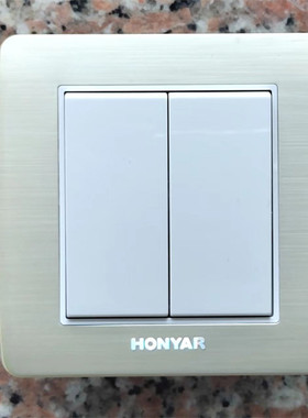 鸿雁86开关Tiber.TB二开双控可当单控/TB86K22-10BI特价