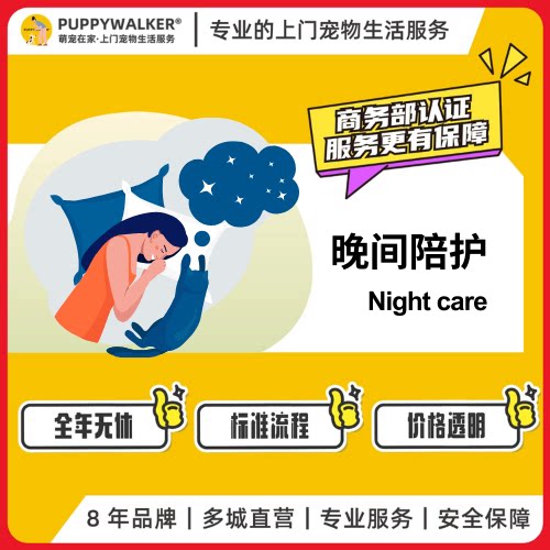 萌宠在家宠物上门服务陪护喂养