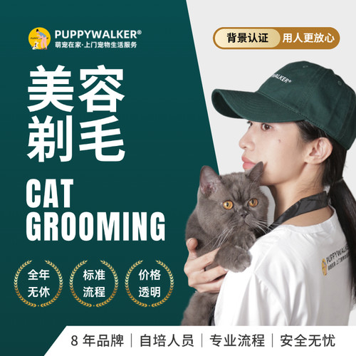 萌宠在家上门猫咪洗澡剃毛美容