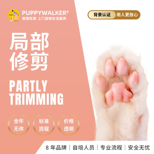 萌宠在家宠物上门猫咪局部修剪