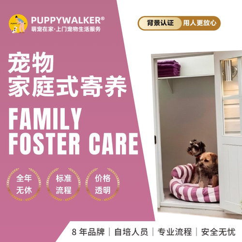 萌宠在家狗狗家庭式寄养不关笼