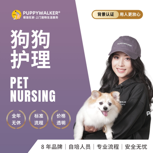 萌宠在家狗行动不便喂食用药上门