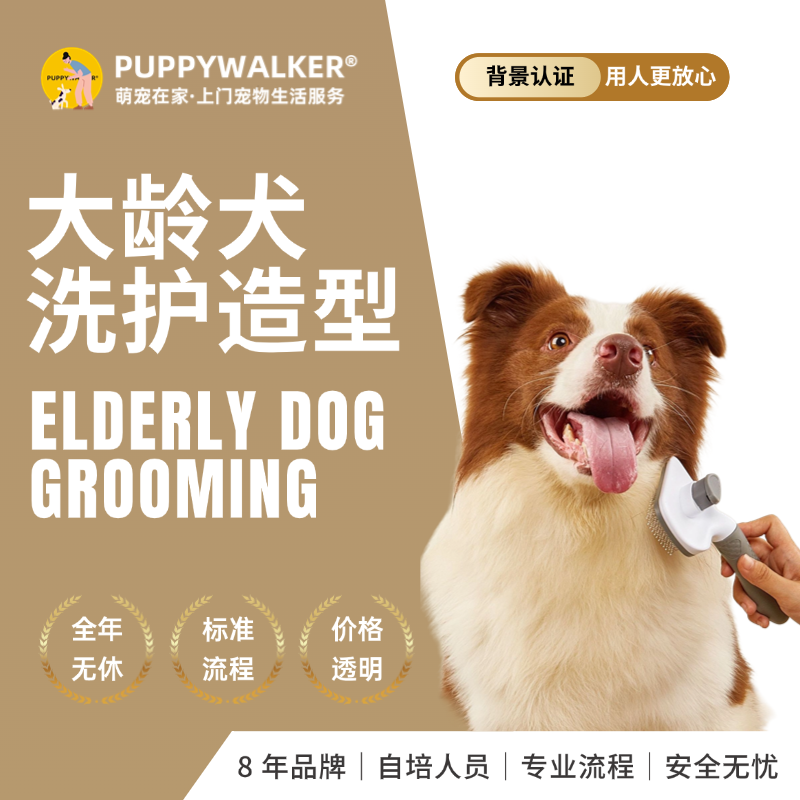 上门洗狗剪毛造型大龄犬7岁以上