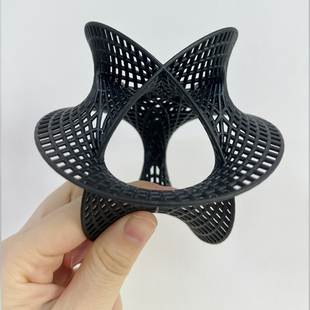 包邮 卡拉比-丘流形空间模型拓扑学超弦理论 多维空间几何数学物