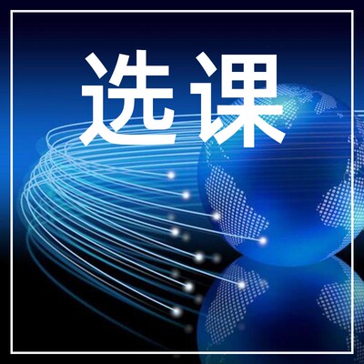 大学中学小学选修必修课后才艺课外课程选课报名咨询vip链接