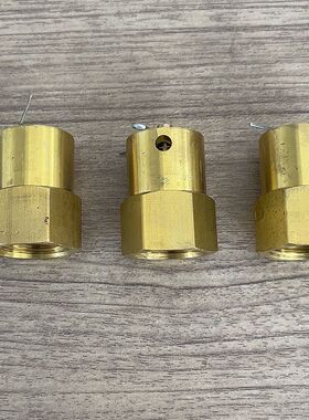 滴水阀DN15泄水阀复位器雨淋阀配件ZSFM 铜排水阀预作用配件装置