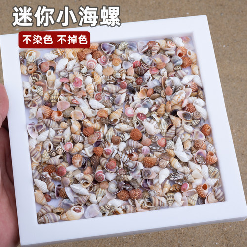 手工装饰白色贝壳鱼缸DIY