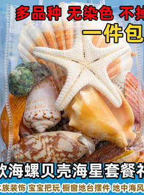 天然海螺贝壳海星鱼缸水族箱