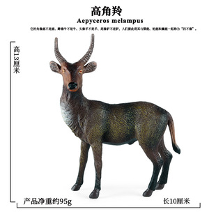 跨境兒童仿真動物羚羊模型玩具高角羚藏羚羊靜態(tài)實心塑膠裝 飾擺件