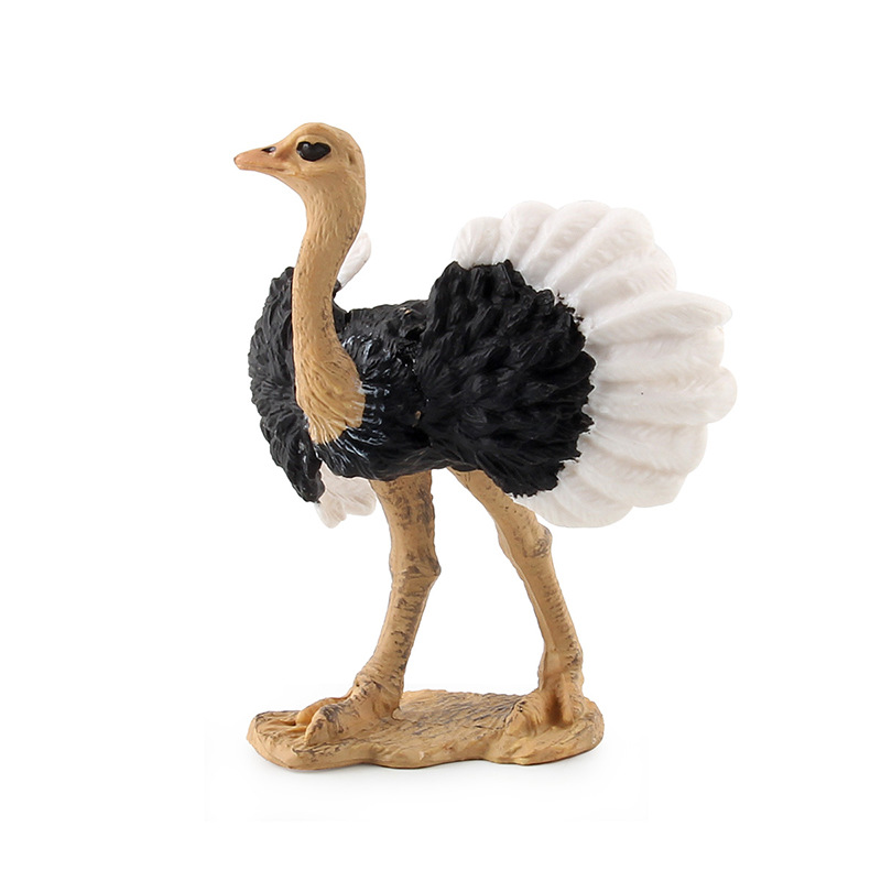 跨境仿真野生动物鸟类模型儿童益