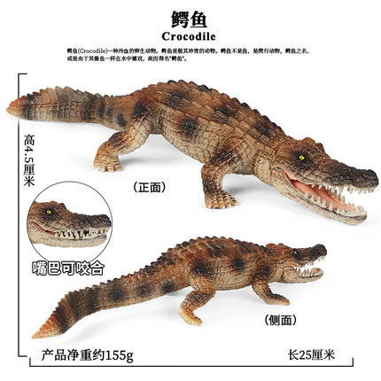 儿童大号实心静态鳄鱼模型摆件仿真鳄鱼早教认知玩具野生动物模型