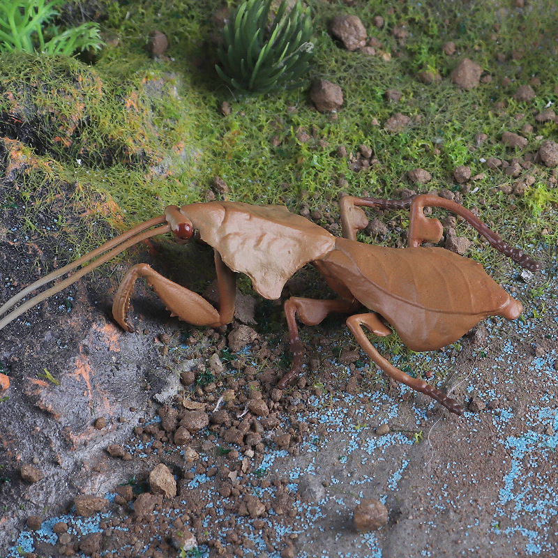 跨境仿真野生昆虫模型儿童认知科